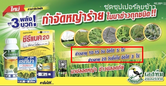 ซุปเปอร์ลุยข้าวไอเทค-วัน*20