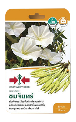 ชมจันทร์ดอกพระจันทร์OPศรแดงGG