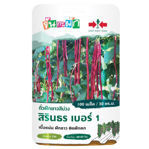 ถั่วฝักยาวม่วงสิรินธรเบอร์1OPศรแดงGG*300