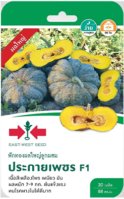 ฟักทองผลใหญ่ประกายเพชรF1ศรแดงGG*600