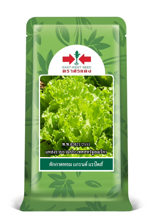 สลัดแกรนด์แรปิดส์OPศรแดง50G(กป./ซอง) *80