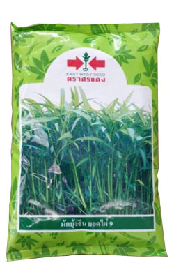 ผักบุ้งยอดไผ่9OPศรแดง1KG*24