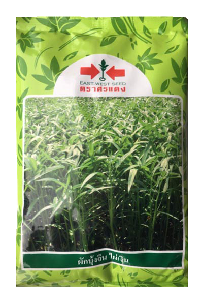 ผักบุ้งไผ่เงินOPศรแดง1KG*24