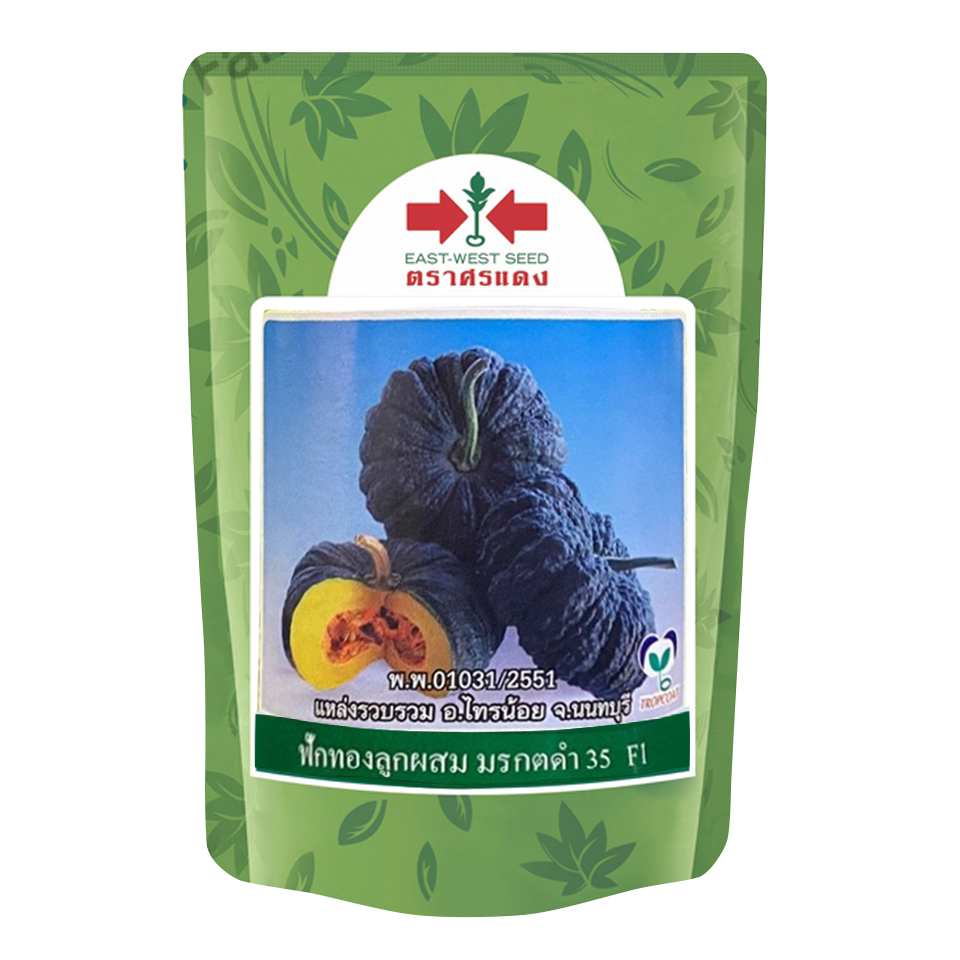 ฟักทองมรกตดำ35 F1ศรแดง100G(ซอง/กป.) *80