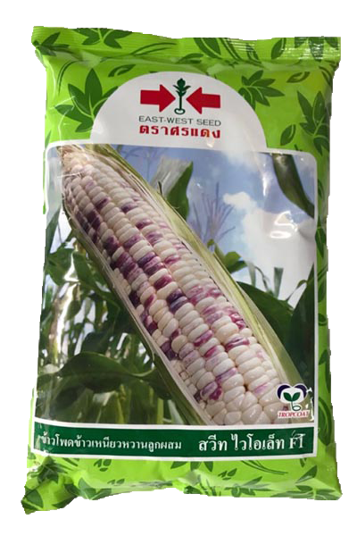 ขพขน.สวีทไวโอเล็ทF1ศรแดง1KG*20