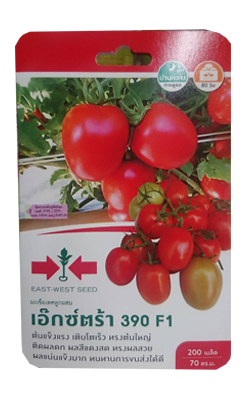 มะเขือเทศเอ็กซ์ตร้า390F1ศรแดงGG*600