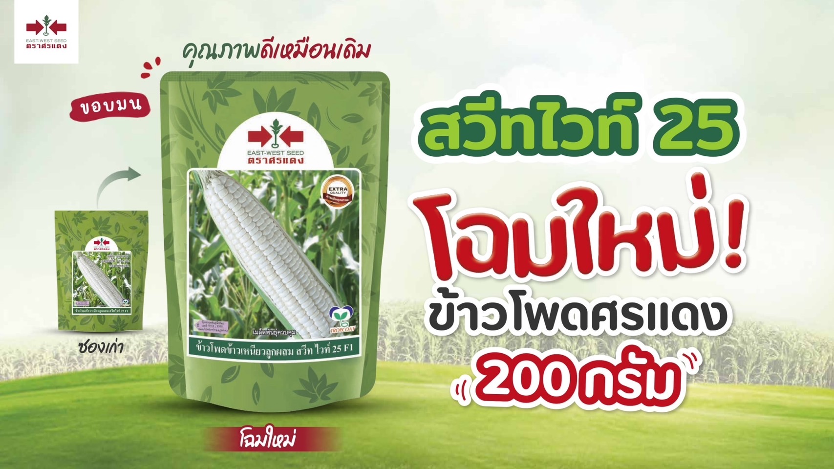 ขพขน.สวีทไวท์25F1ศรแดง200G*60