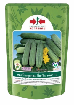 แตงร้านบิ๊กกรีนพลัสF1 ศรแดง100G(กป./ซอง) *80