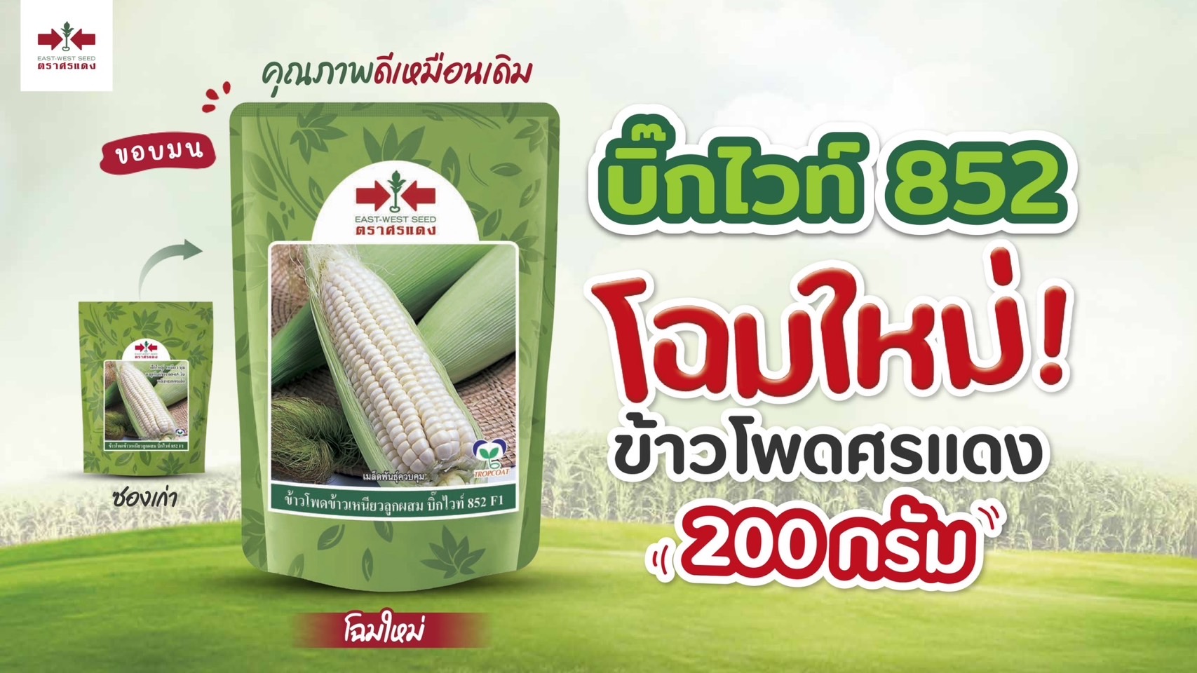 ขพขน.บิ๊กไวท์852F1ศรแดง200G*60