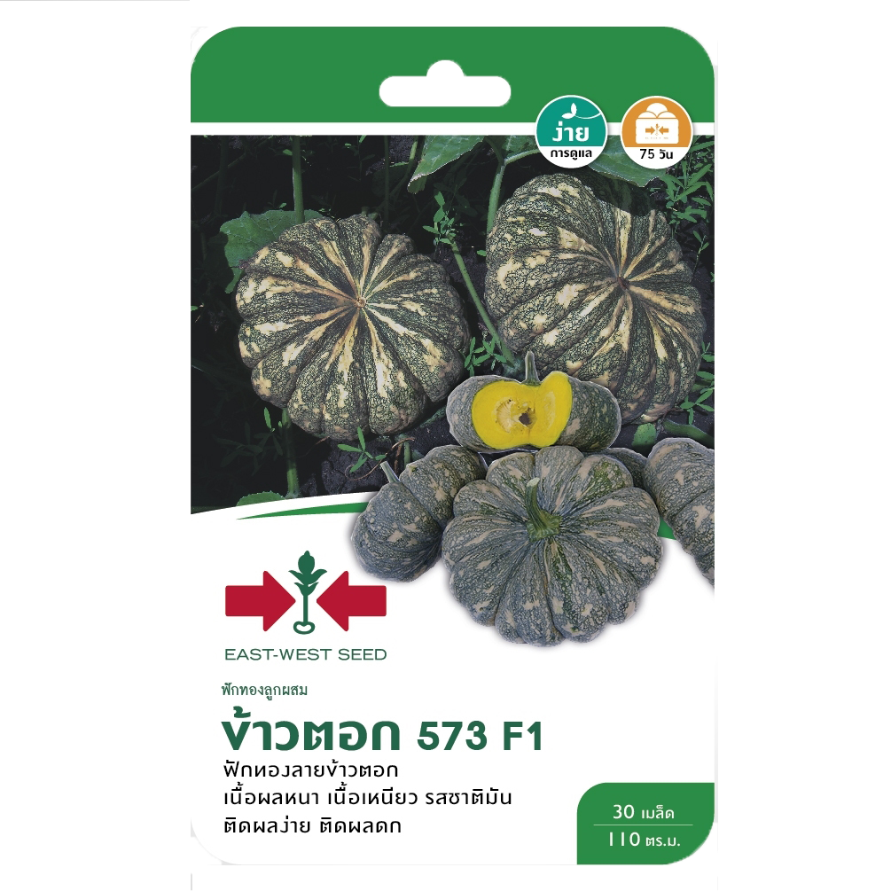 ฟักทองข้าวตอก573F1ศรแดงGG*600