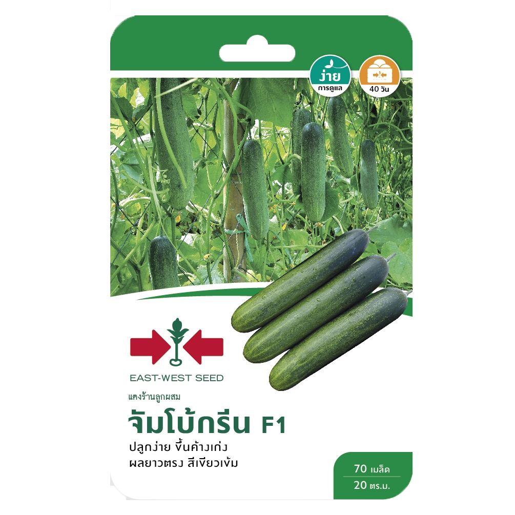 แตงร้านจัมโบ้กรีนF1ศรแดงGG*600