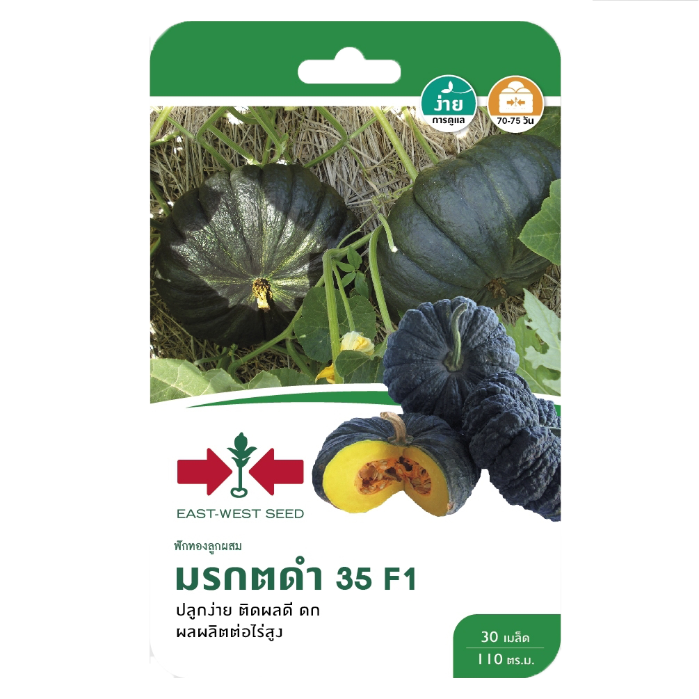 ฟักทองมรกตดำ35F1ศรแดงGG*600