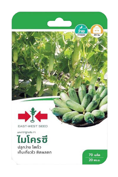 แตงกวาไมโครซีF1ศรแดงGG*600