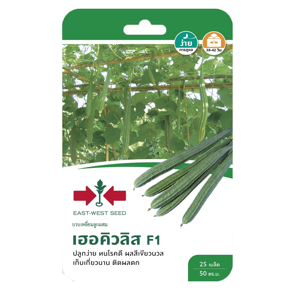 บวบเหลี่ยมเฮอคิวลิสF1ศรแดงGG*600