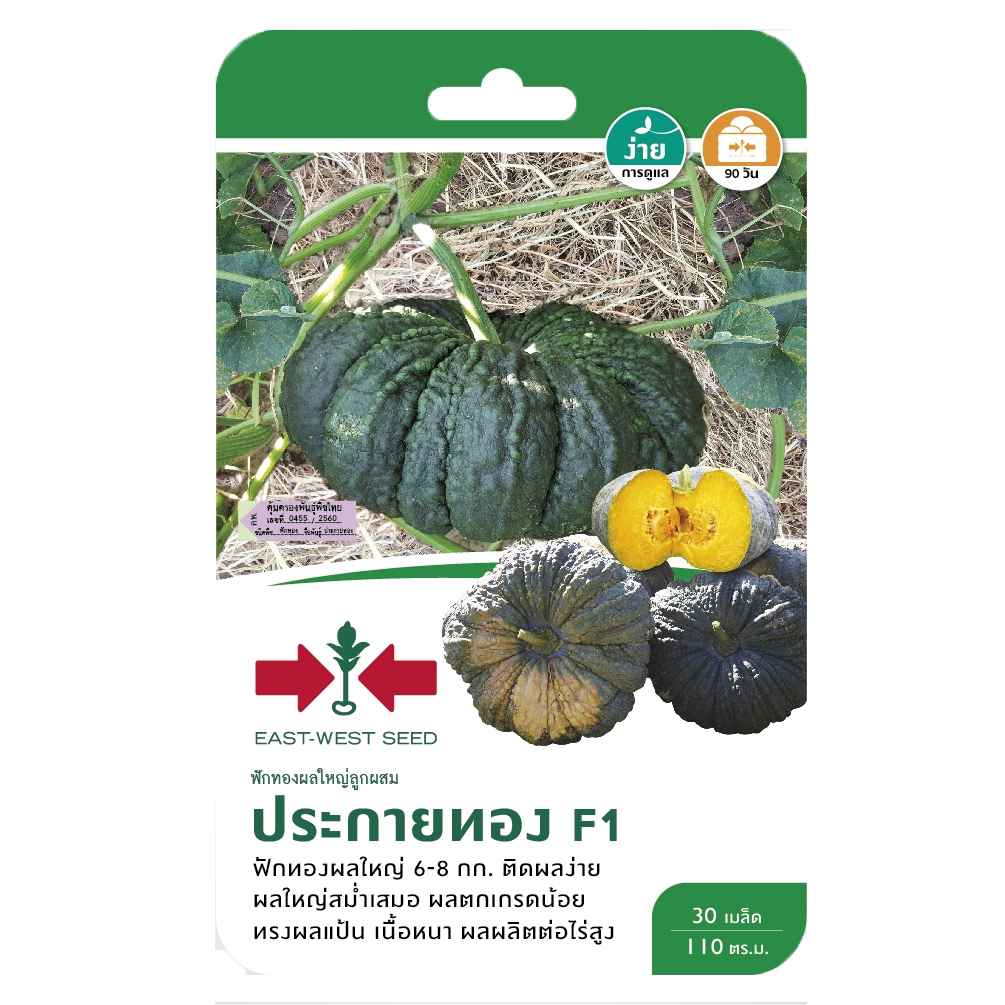 ฟักทองประกายทองF1ศรแดงGG*600
