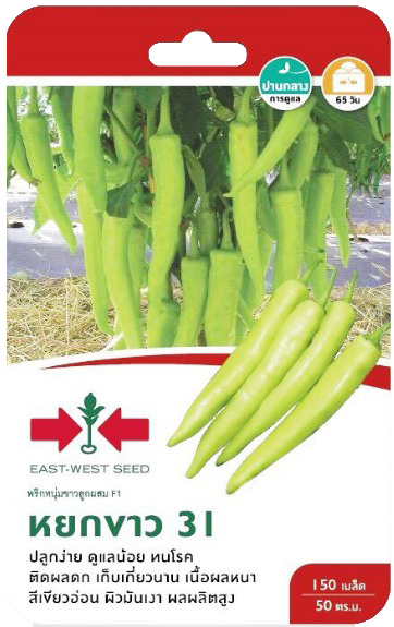 พริกหนุ่มหยกขาวF1ศรแดงGG*900