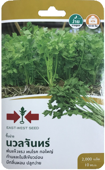 ขึ้นฉ่ายนวลจันทร์OPศรแดงGG*600