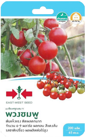 มะเขือเทศพวงชมพูF1ศรแดงGG*600