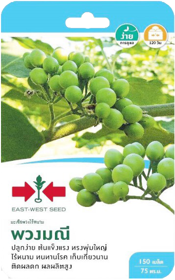 มะเขือพวงพวงมณีOPศรแดงGG*1200