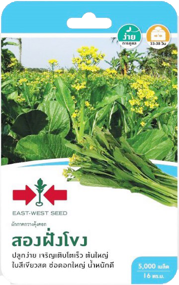 กวางตุ้งดอกสองฝั่งโขงOPศรแดงGG*600