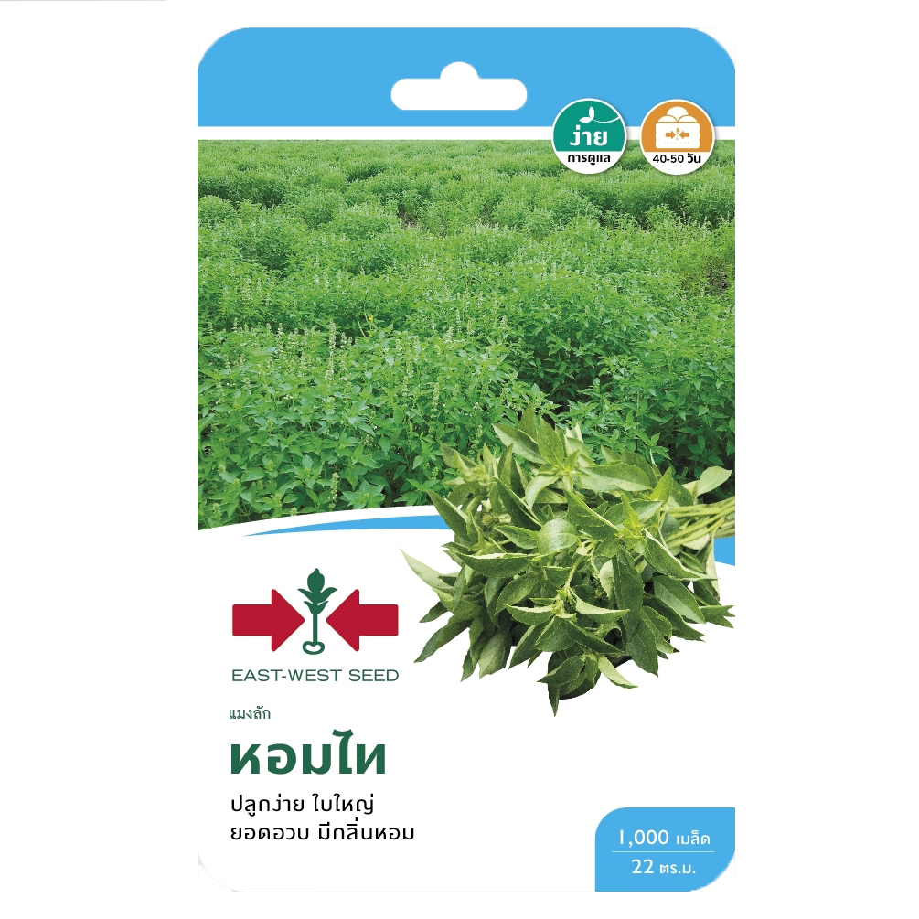 แมงลักหอมไทOPศรแดงGG*900