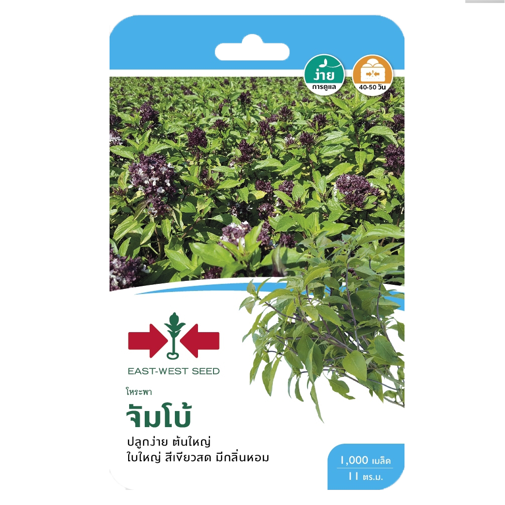 โหระพาจัมโบ้OPศรแดงGG*900