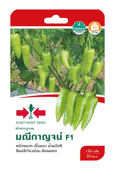 พริกหยวกมณีกาญจน์F1ศรแดงGG*900