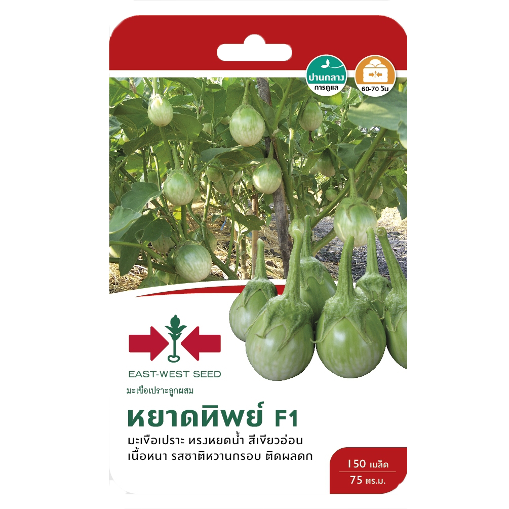 มะเขือเปราะหยาดทิพย์F1ศรแดงGG*600