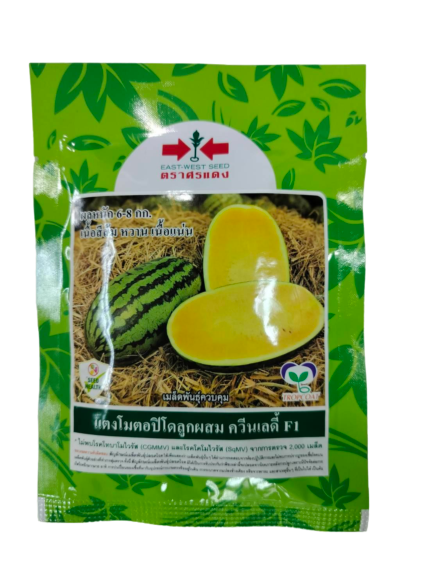 แตงโม ตปด.ควีนเลดี้F1ศรแดง40G