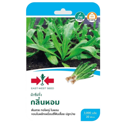 ผักชีฝรั่งกลิ่นหอมOPศรแดงGG*900