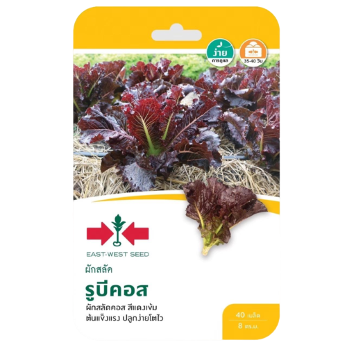 สลัดรูบีคอสOPศรแดงGG*600