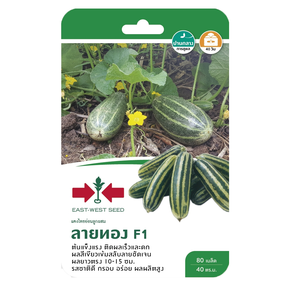 แตงไทยอ่อนลายทองF1ศรแดงGG*600