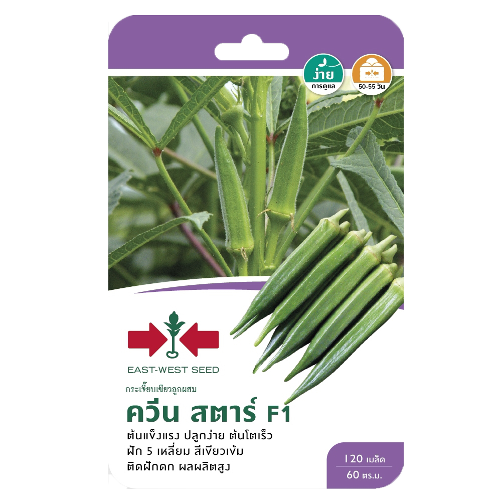 กระเจี๊ยบเขียวควีนสตาร์F1ศรแดงGG*300