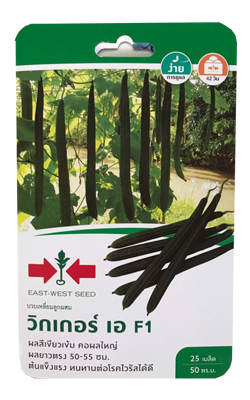 บวบเหลี่ยมวิกเกอร์เอF1ศรแดงGG*600