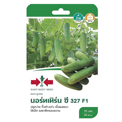 แตงกวานอร์ทเทิร์นซี327F1ศรแดงGG*600