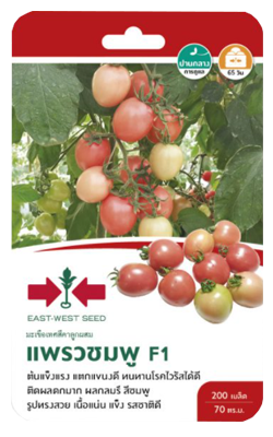 มะเขือเทศแพรวชมพูF1ศรแดงGG*600