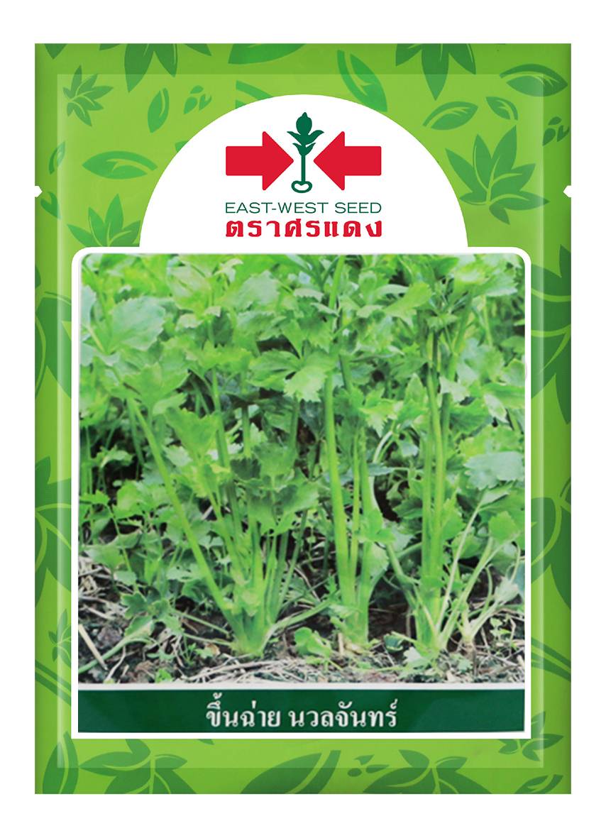 ขึ้นฉ่ายนวลจันทร์ศรแดง50G*180