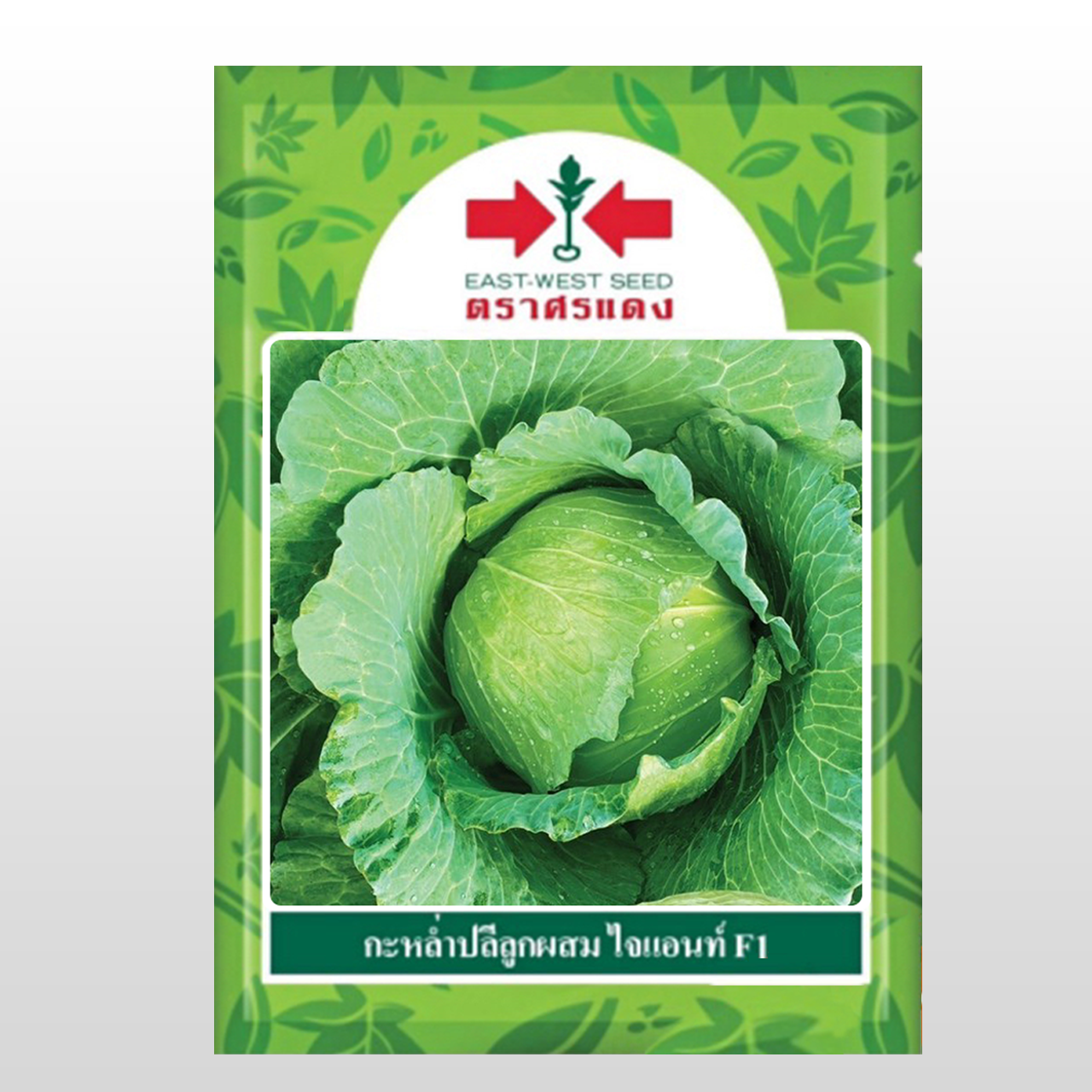 กะหล่ำปลีไจแอนท์F1ศรแดง50G(ซอง)*60