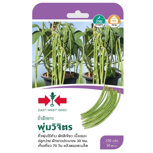 ถั่วฝักยาวพุ่มจิตรOPศรแดงGG*300