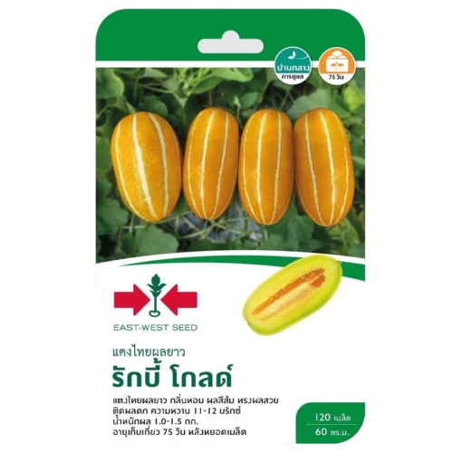 แตงไทยรักบี้โกลด์ผลยาวศรแดงGG*600