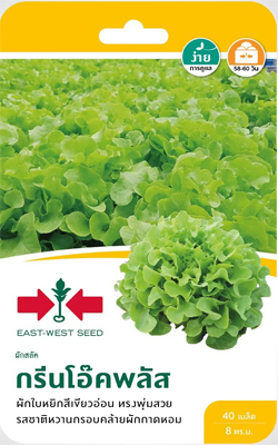 สลัดกรีนโอ๊คพลัสOPศรแดงGG*900