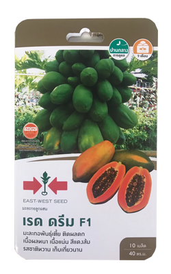 มะละกอเรดดรีมF1ศรแดงGG*600