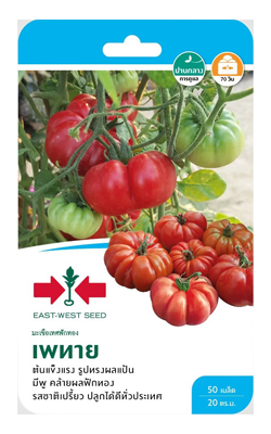 มะเขือเทศเพทายF1ศรแดงGG