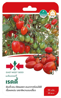 มะเขือเทศเชอร์รี่เรดดี้่OPศรแดงGG*600