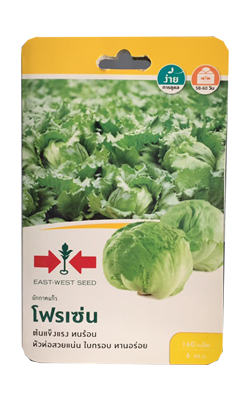 สลัดโฟรเซ่นOPศรแดงGG*600
