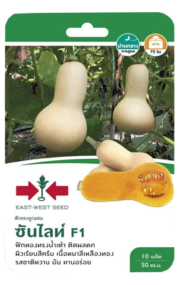 ฟักทองซันไลท์F1ศรแดงGG*600