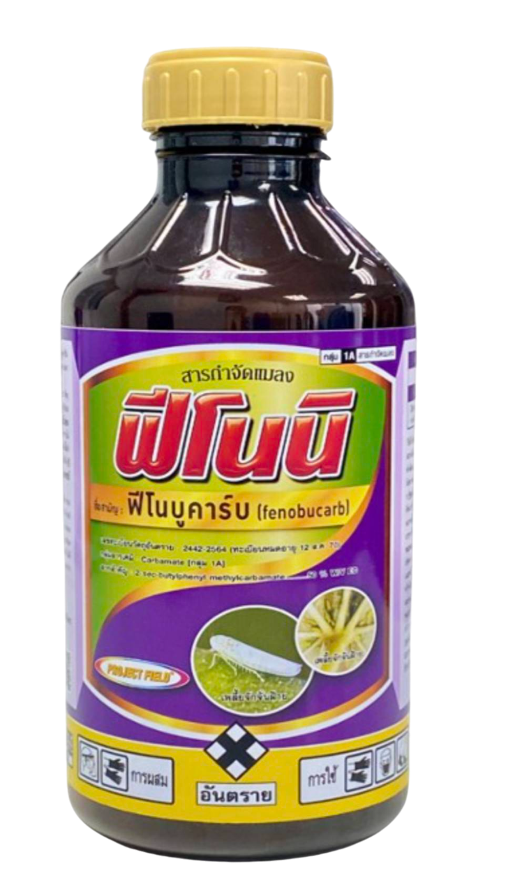 ฟีโนนิ1L*12