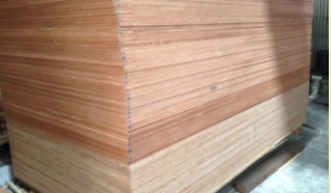 ไม้อัดยาง6MM AAA