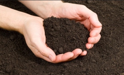 เนื้อดินปลูกหนุมาน