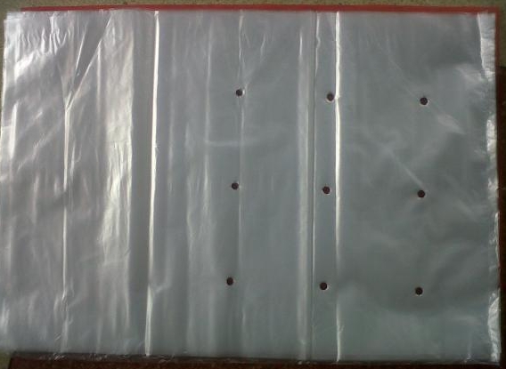 ถุงใส่ผักเจาะรู500G14X22